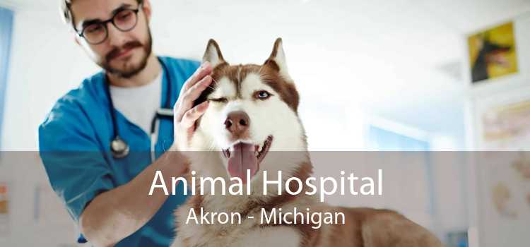 Animal Hospital Akron - Michigan