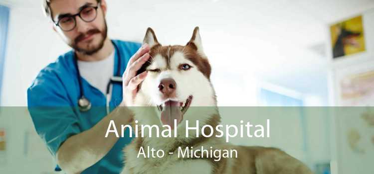 Animal Hospital Alto - Michigan