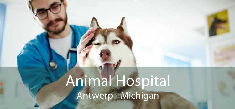 Animal Hospital Antwerp - Michigan