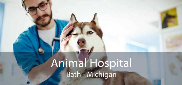 Animal Hospital Bath - Michigan