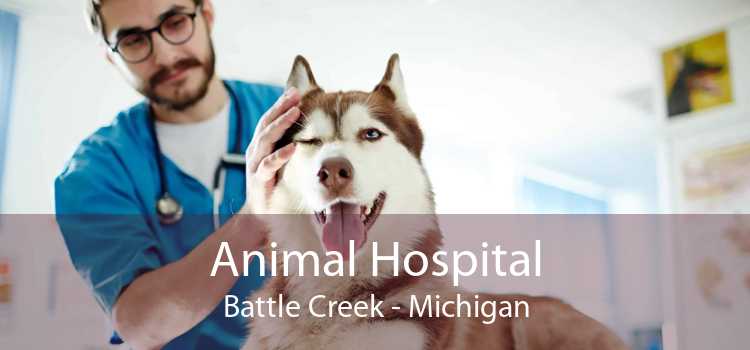 Animal Hospital Battle Creek - Michigan