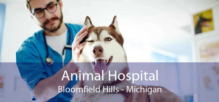 Animal Hospital Bloomfield Hills - Michigan