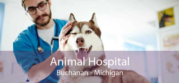 Animal Hospital Buchanan - Michigan