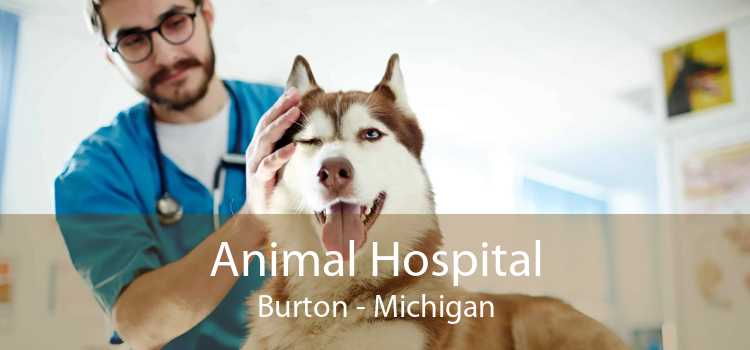Animal Hospital Burton - Michigan