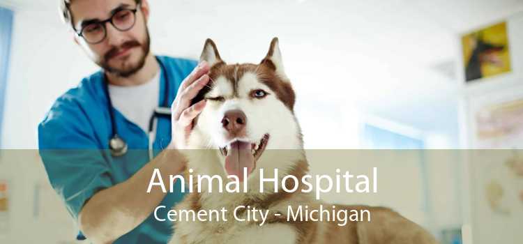 Animal Hospital Cement City - Michigan