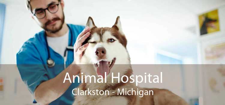Animal Hospital Clarkston - Michigan