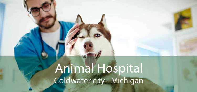 Animal Hospital Coldwater city - Michigan