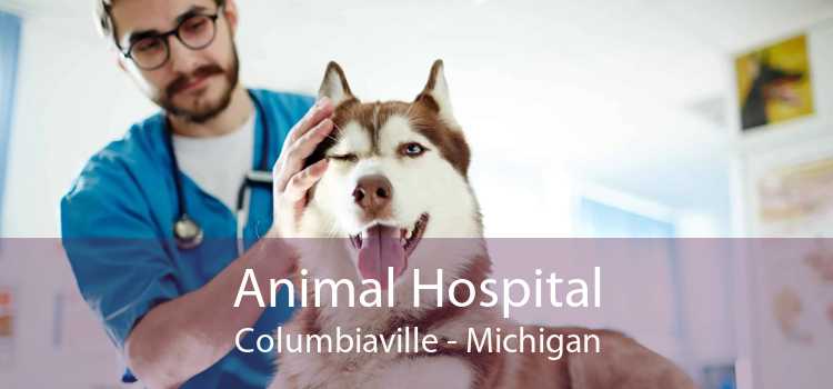 Animal Hospital Columbiaville - Michigan
