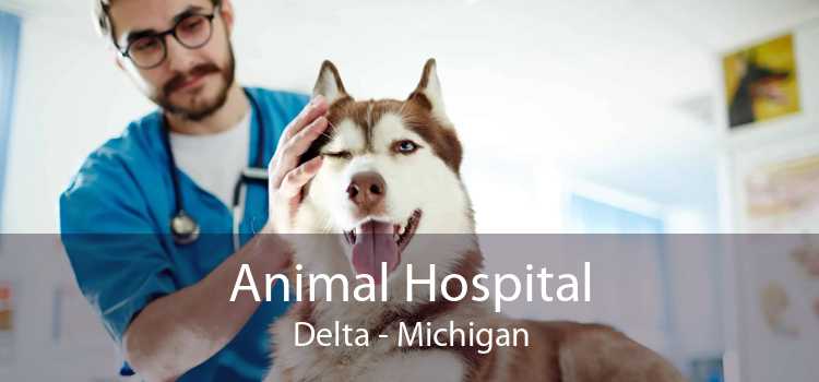 Animal Hospital Delta - Michigan