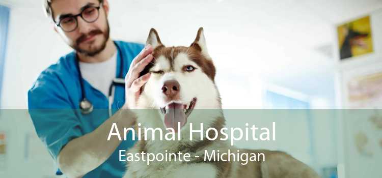 Animal Hospital Eastpointe - Michigan