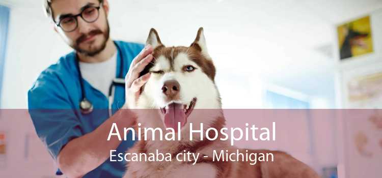 Animal Hospital Escanaba city - Michigan
