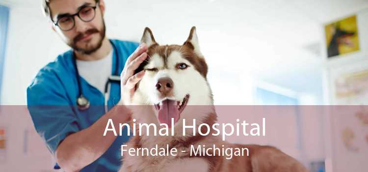 Animal Hospital Ferndale - Michigan