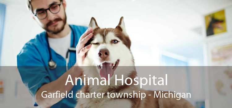 Animal Hospital Garfield charter township - Michigan