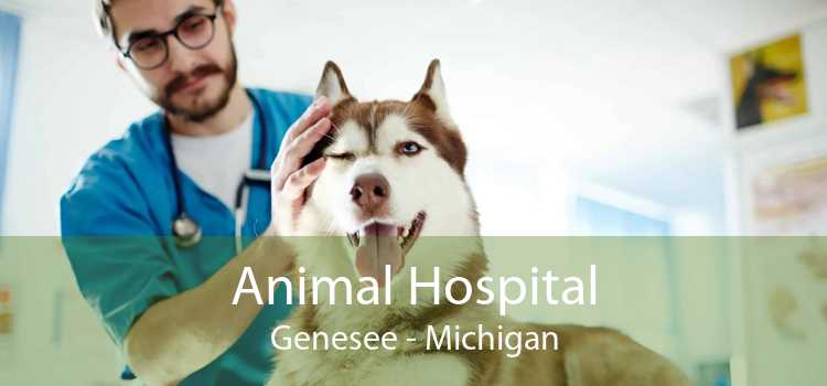 Animal Hospital Genesee - Michigan