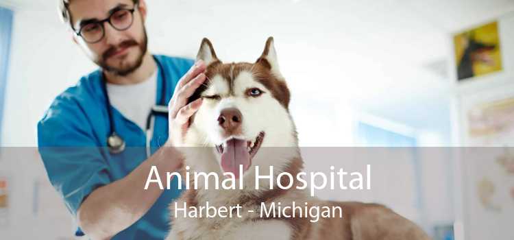 Animal Hospital Harbert - Michigan