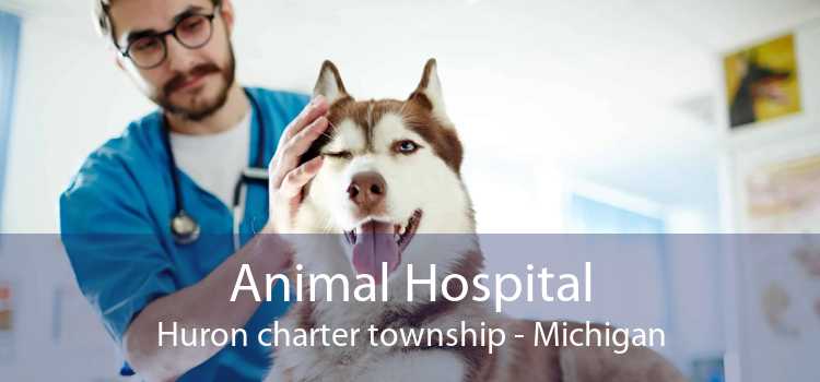 Animal Hospital Huron charter township - Michigan