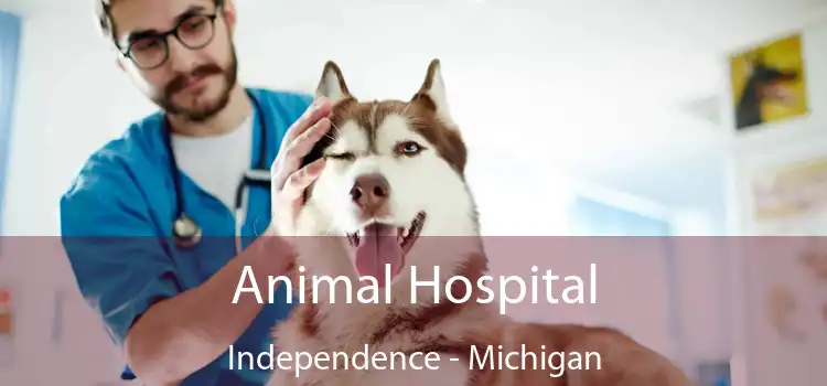 Animal Hospital Independence - Michigan