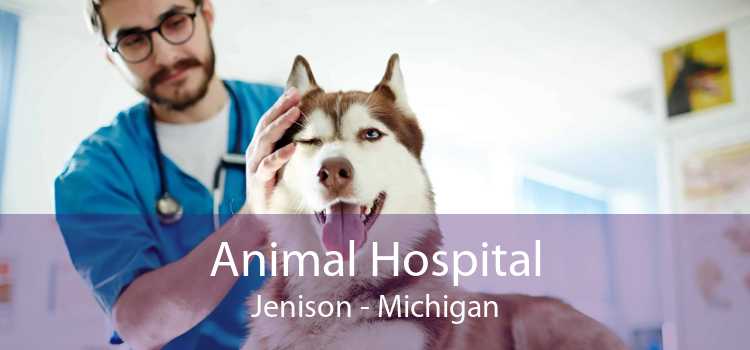 Animal Hospital Jenison - Michigan