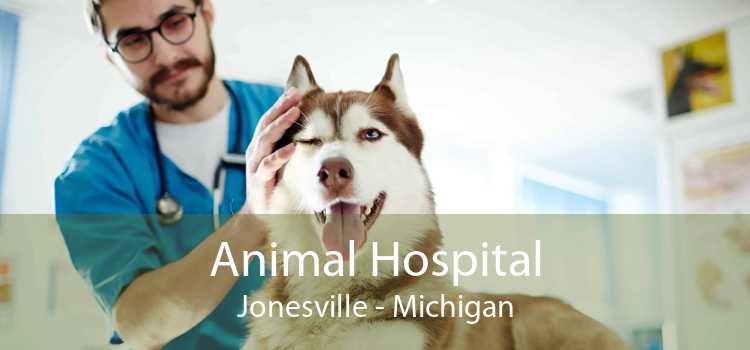 Animal Hospital Jonesville - Michigan
