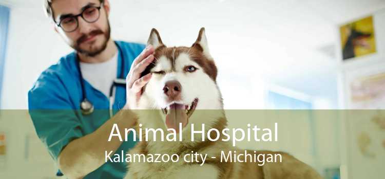 Animal Hospital Kalamazoo city - Michigan