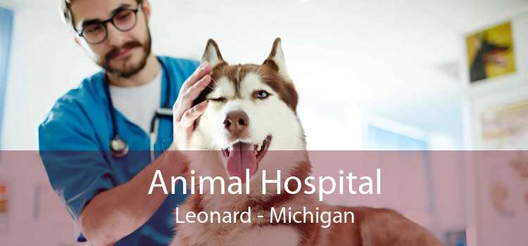 Animal Hospital Leonard - Michigan