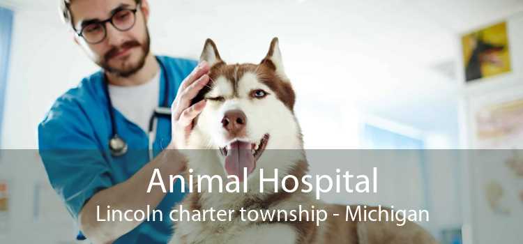 Animal Hospital Lincoln charter township - Michigan