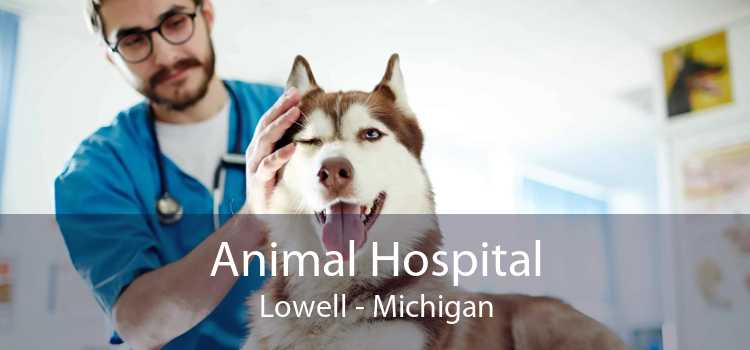 Animal Hospital Lowell - Michigan