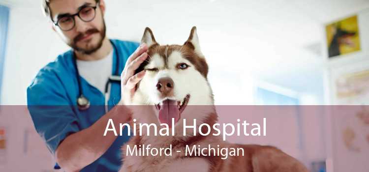 Animal Hospital Milford - Michigan