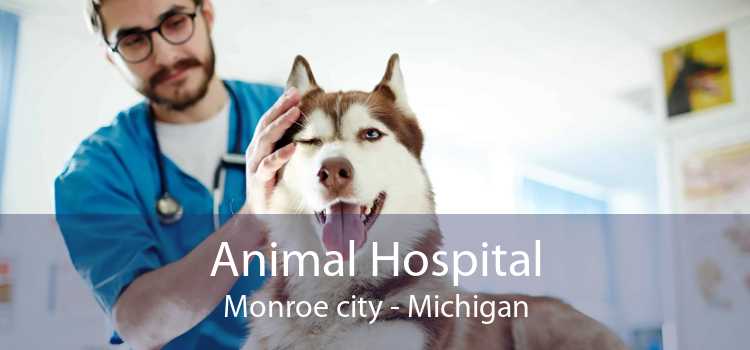 Animal Hospital Monroe city - Michigan