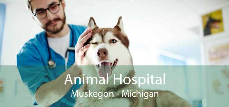 Animal Hospital Muskegon - Michigan