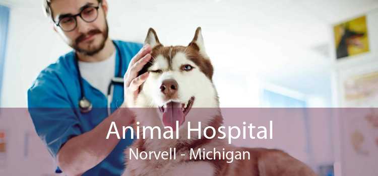 Animal Hospital Norvell - Michigan