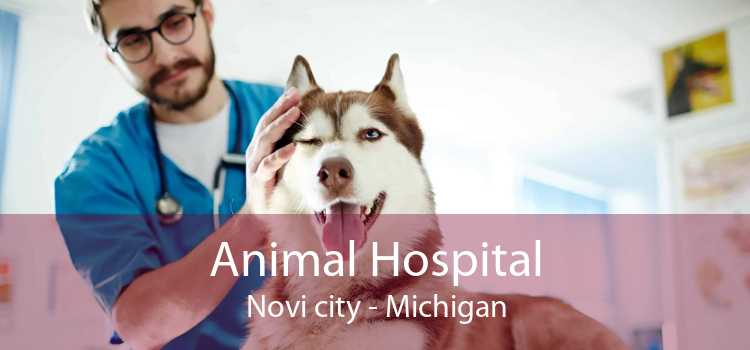 Animal Hospital Novi city - Michigan