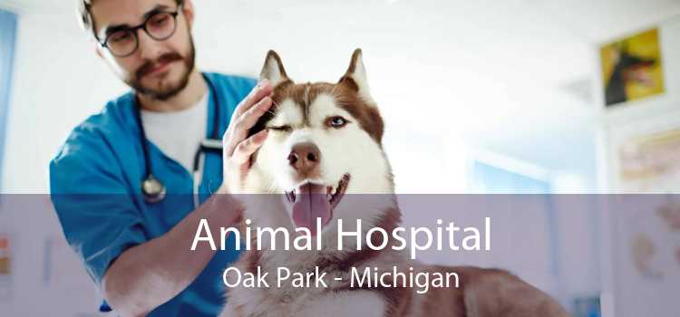 Animal Hospital Oak Park - Michigan