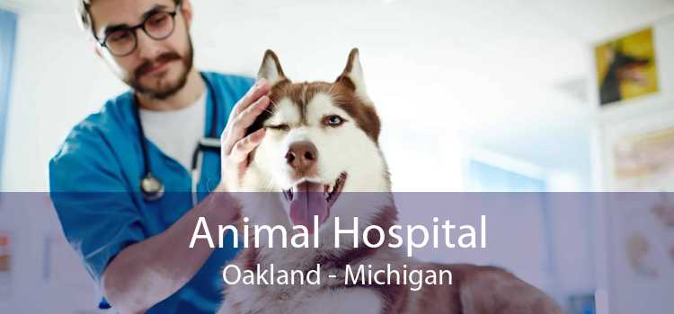 Animal Hospital Oakland - Michigan