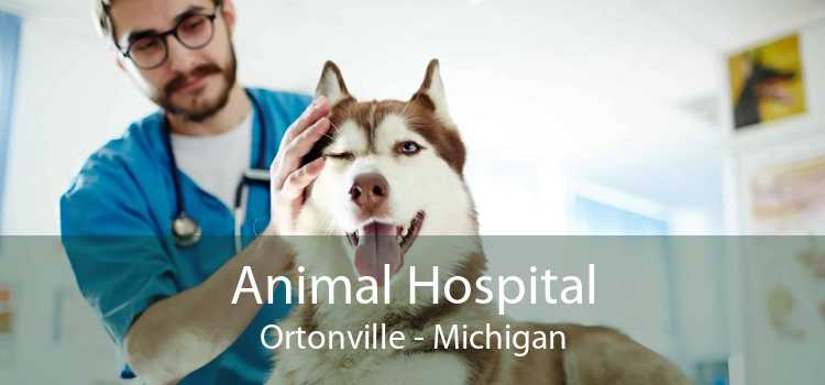 Animal Hospital Ortonville - Michigan