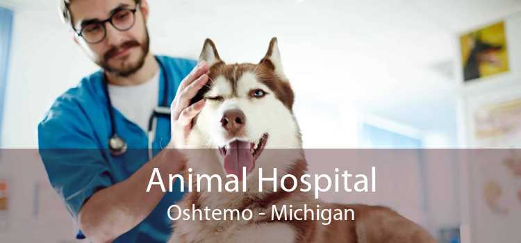 Animal Hospital Oshtemo - Michigan
