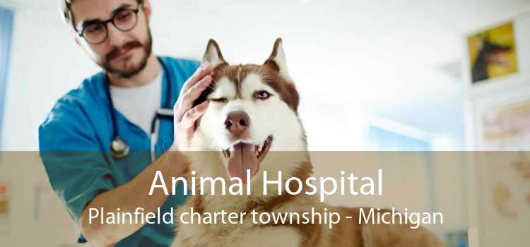 Animal Hospital Plainfield charter township - Michigan