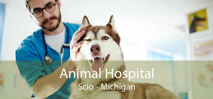Animal Hospital Scio - Michigan