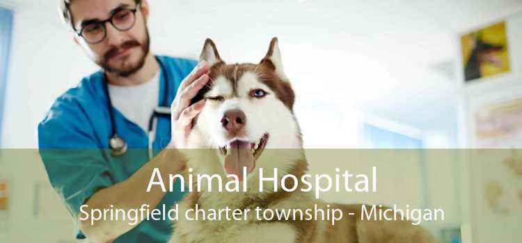 Animal Hospital Springfield charter township - Michigan