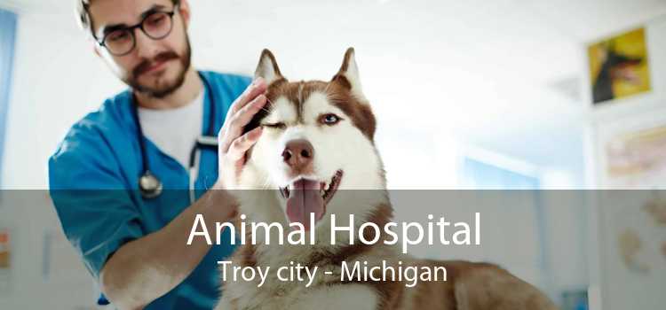 Animal Hospital Troy city - Michigan