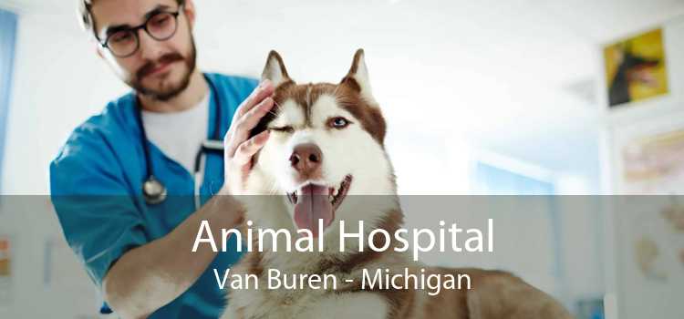 Animal Hospital Van Buren - Michigan