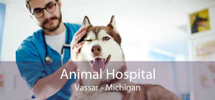 Animal Hospital Vassar - Michigan