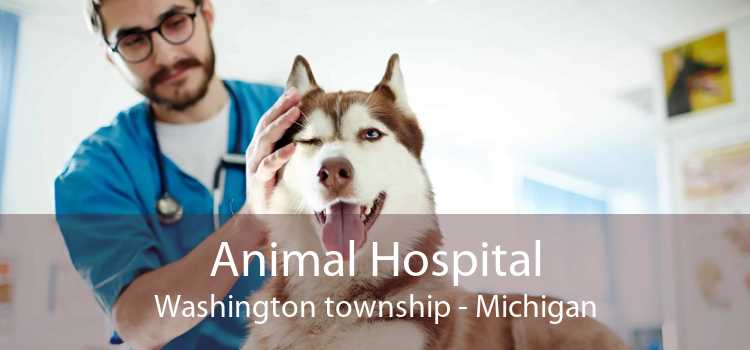 Animal Hospital Washington township - Michigan