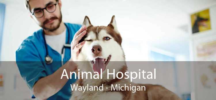 Animal Hospital Wayland - Michigan