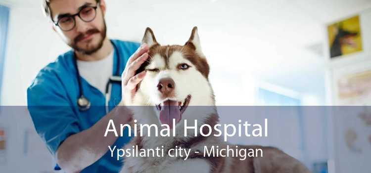 Animal Hospital Ypsilanti city - Michigan
