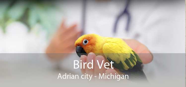Bird Vet Adrian city - Michigan