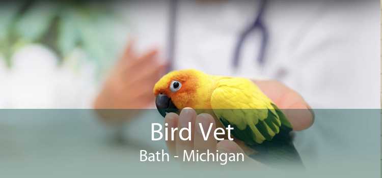 Bird Vet Bath - Michigan