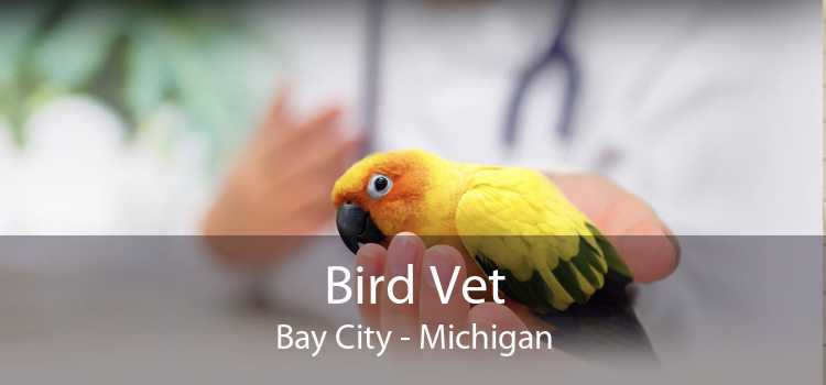 Bird Vet Bay City - Michigan