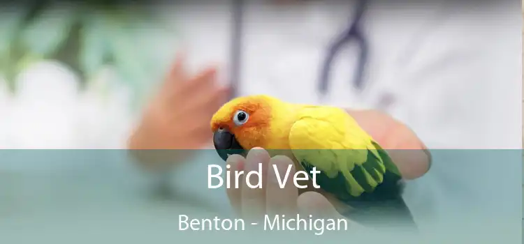 Bird Vet Benton - Michigan
