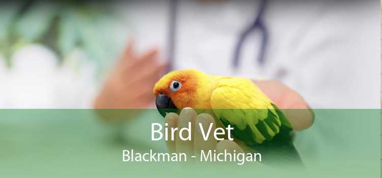 Bird Vet Blackman - Michigan
